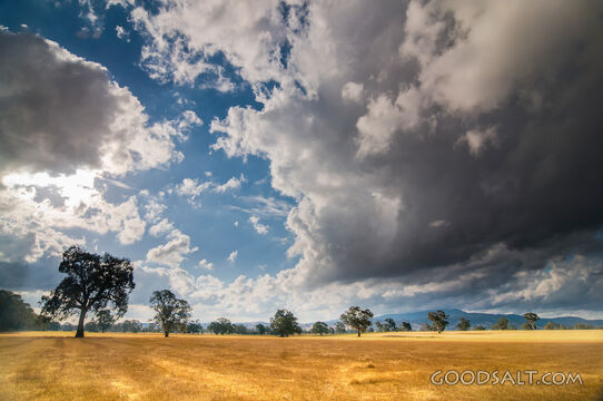 Open Field Beneath the Heavens