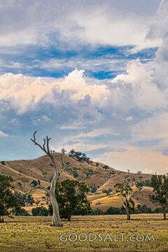 Hills Beneath the Heavens