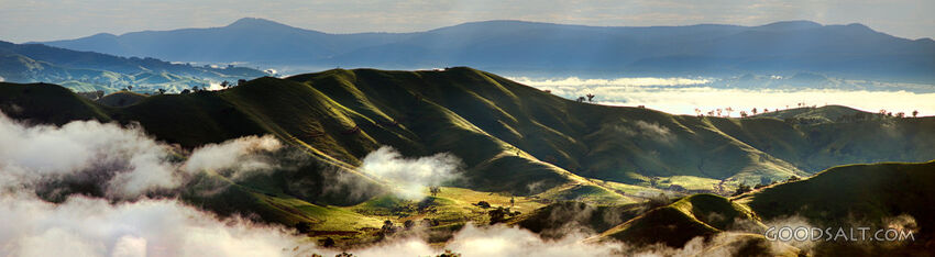 Morning Glory Across the Hills