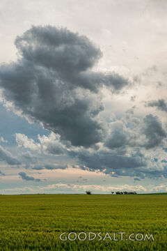 Clouds Over the Harvest Field