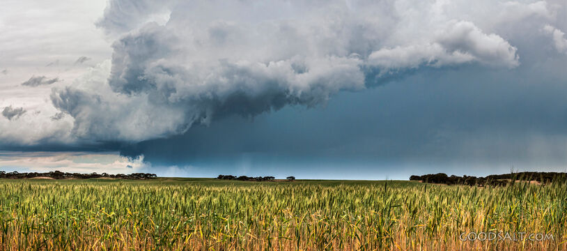 Storm Over the Harvest Field