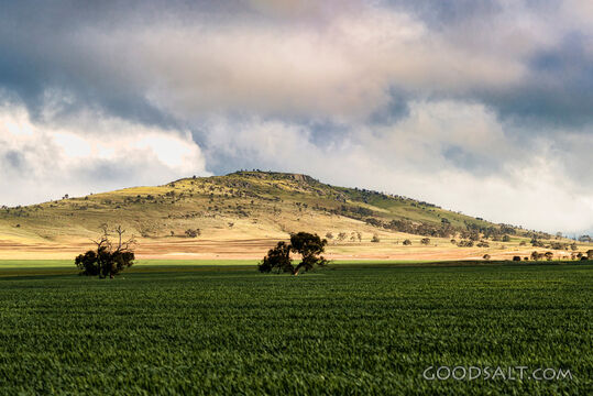 Fields Beneath Gathering Clouds