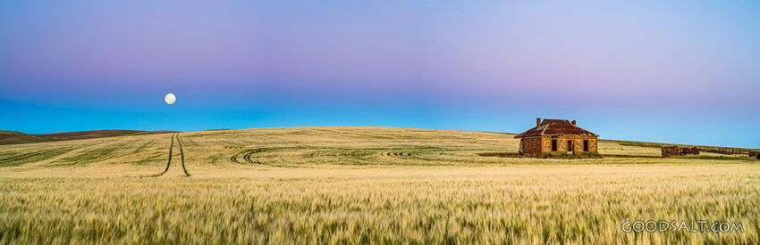 Moonrise Over the Harvest Field