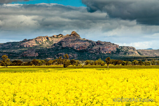 Harvest Field Beneath Storm Clouds