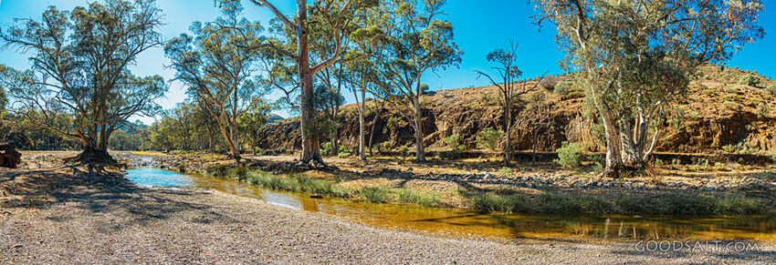 Stream in the Wilderness