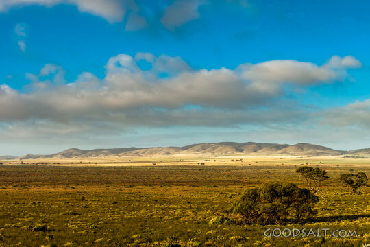 Pastures of the Wilderness