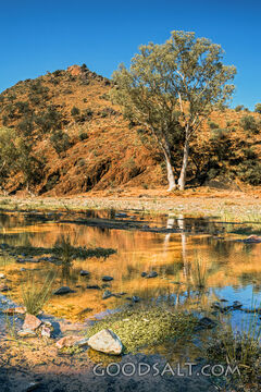 Still Waters in the Wilderness
