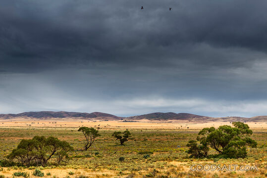 Storm Over the Wilderness Hills