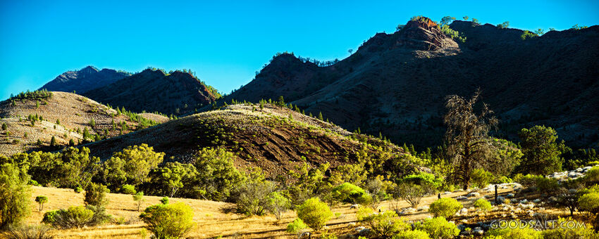 Hills of the Wilderness