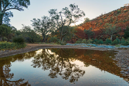 Still Waters in the Desert Gorge