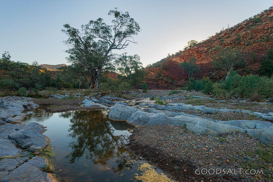 Still Waters in the Wilderness
