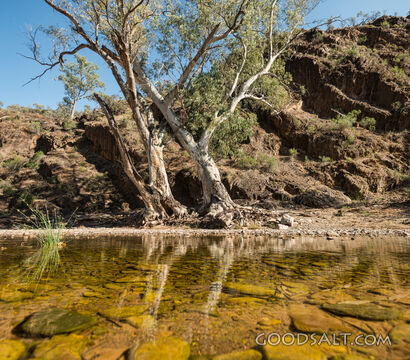 Still Waters in the Wilderness