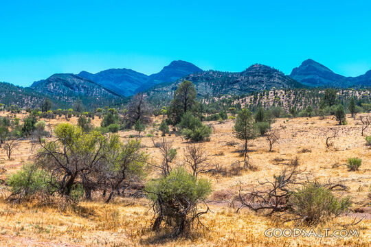 Mountain Wilderness of Prayer