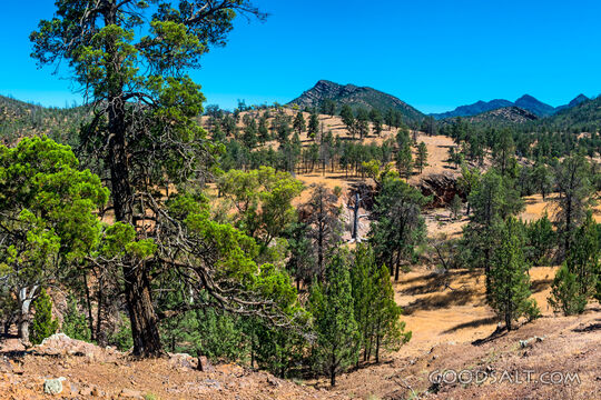 Mountain Wilderness Retreat