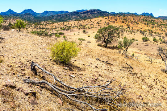Dry Wilderness Hills Beneath Distant Mountains