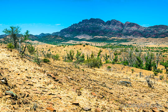 Arid Wilderness Before the Mountains