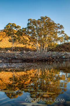 Still Waters in the Wilderness