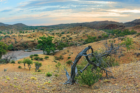 Wilderness Valley and Desert Stream
