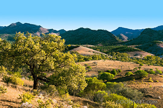 Hills of Creation