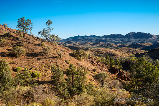 Hills of the Lord