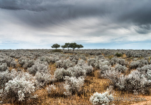 Storm Over the Wilderness