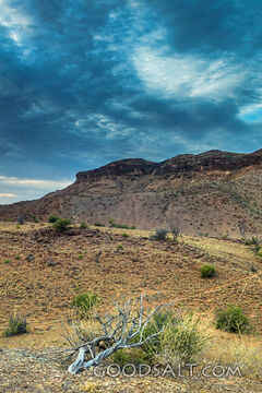 Wilderness Under Gathering Clouds