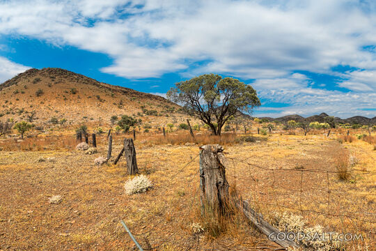 Wilderness Hills and Weathered Fence
