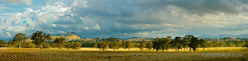 Pasture Under Gathering Storm