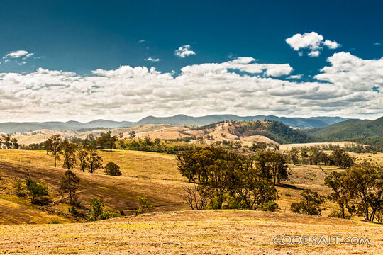 Hills of the Lord&#039;s Pasture