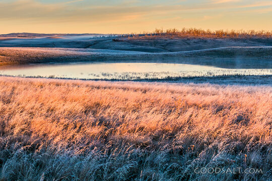 Still Waters at Dawn