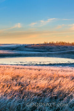 Frosted Still Waters at Sunrise