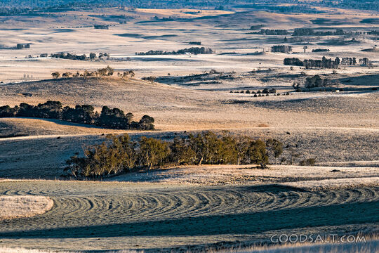 Frosted Fields of Creation