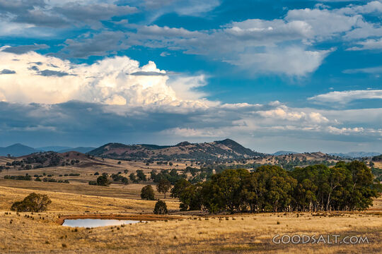 Pasture Under a Spacious Sky