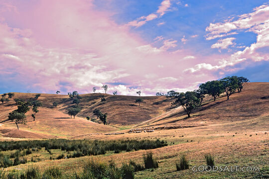 Pastures Beneath a Heavenly Sky