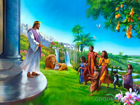 Millennial Kingdom
