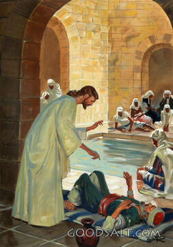 Miracle at the Pool
