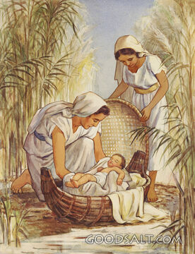 Miriam, Mother, Baby Moses
