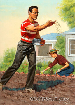 Modern Sower