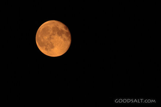 Moon