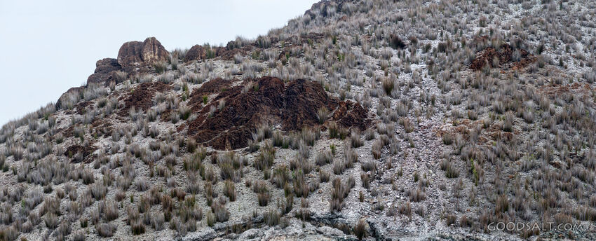 Moonscape hillside.