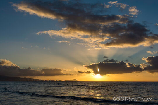 Morning Rays