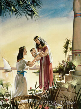 Moses and Pharo&#039;s Daughter