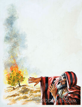 Moses and the Burning Bush