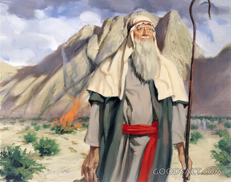 Moses Is Ready to Serve