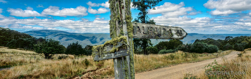 Mossy sign post.