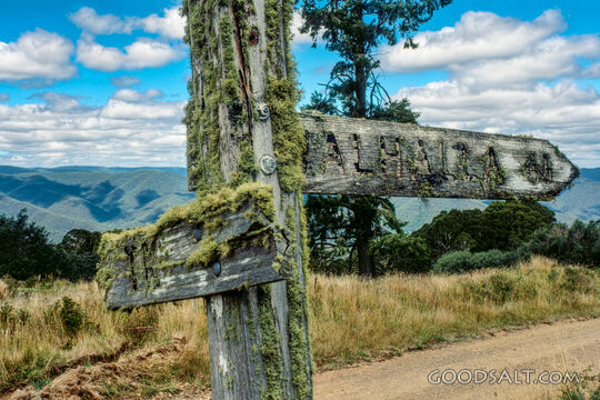 Mossy sign post.