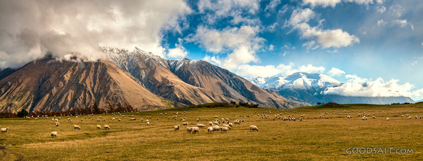 mountai range with green pasture foreground