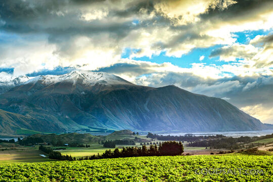 mountain range with green foreground and dramatic lighting