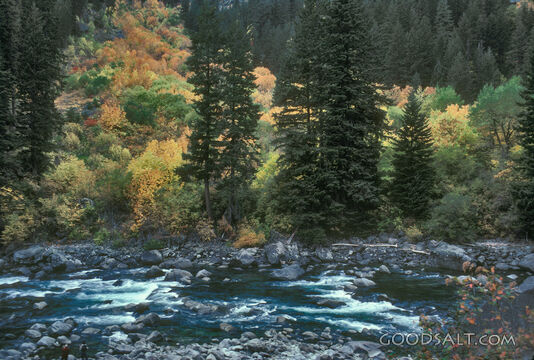 Mountain Stream