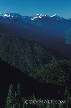Mountains